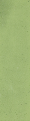 C06-8