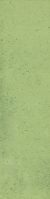 C06-1