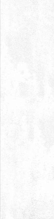 S02-1