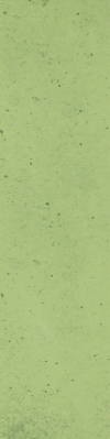 C06-17