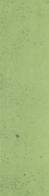 C06-19