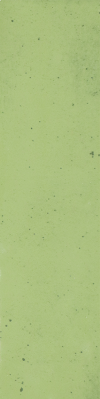 C06-13