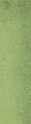C06-5