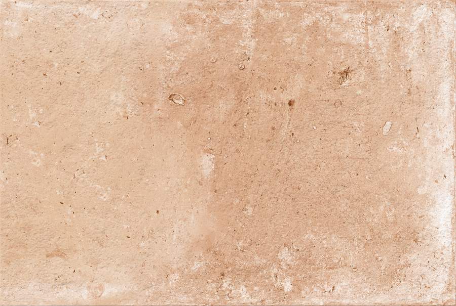PEACH - 460-1