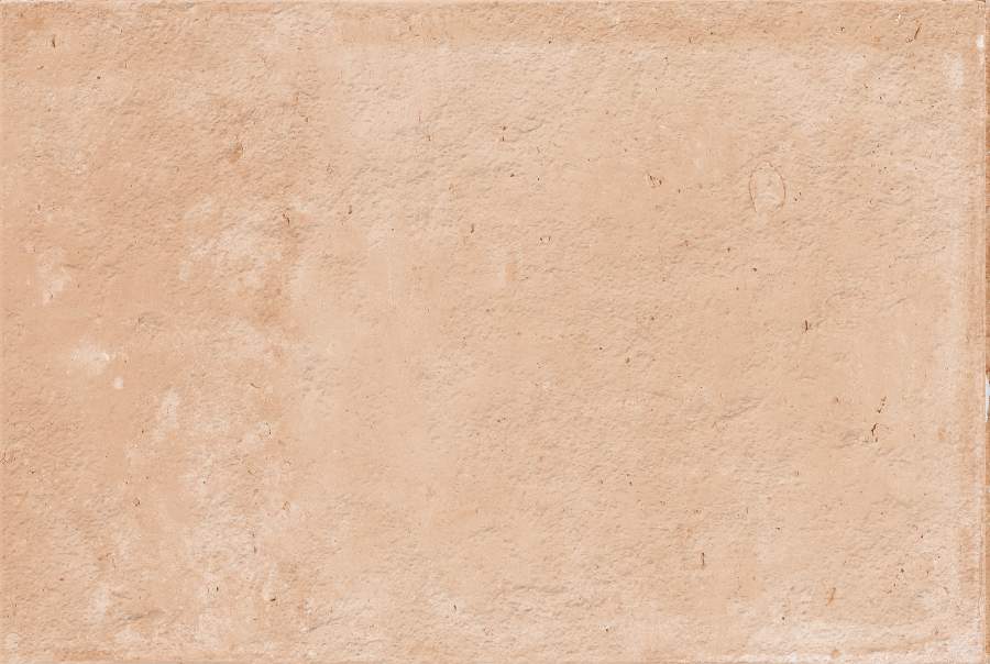 PEACH - 460-3