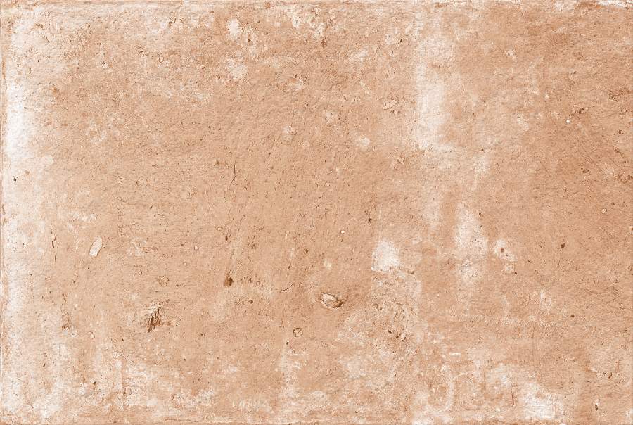 PEACH - 460-4