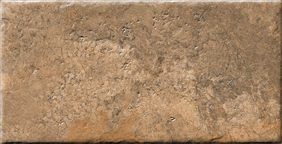 SOIL CATSLE - 240-13
