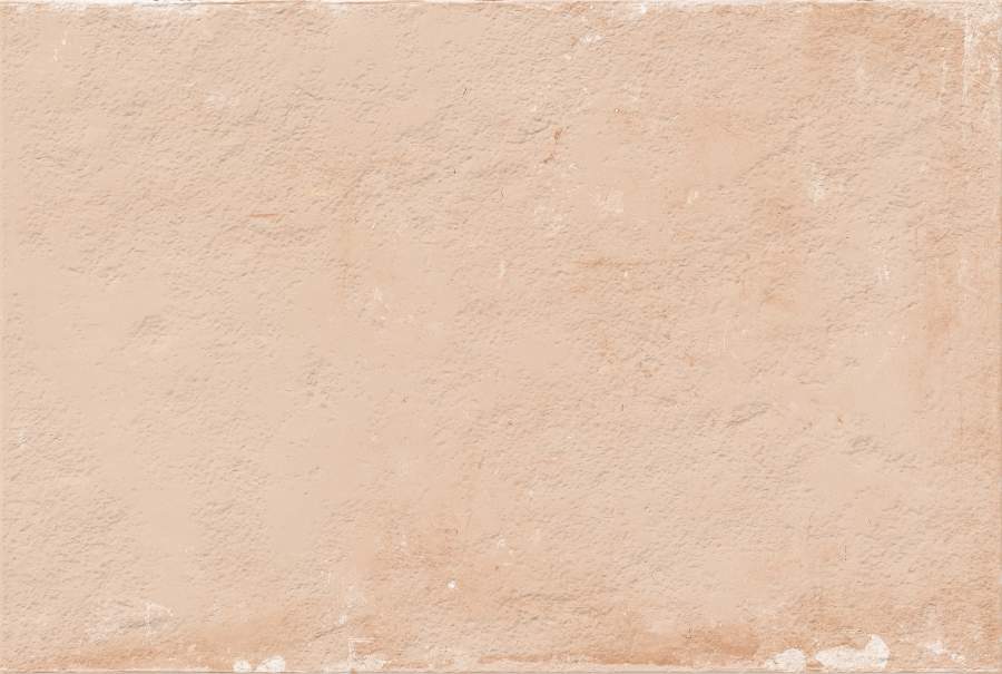 PEACH - 460-5
