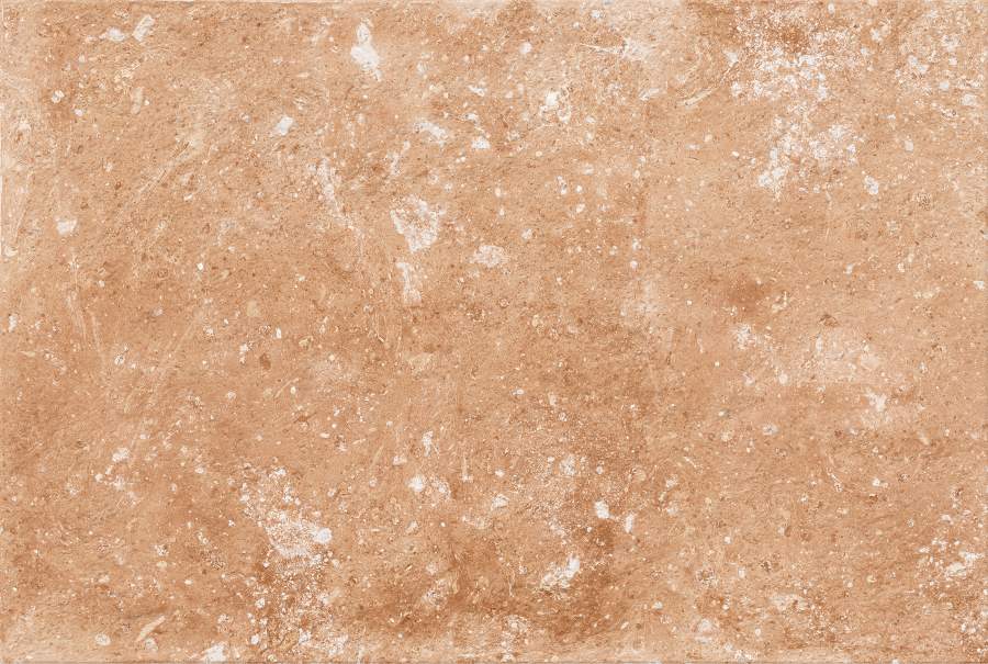 PEACH - 460-6
