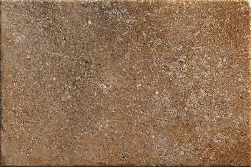 FRENCH RED BLOOM - 460-4