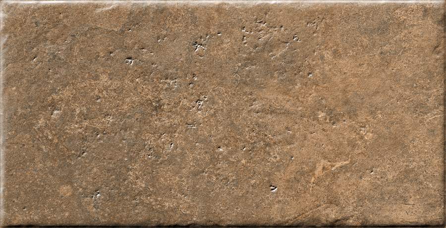 SOIL CATSLE - 240-29