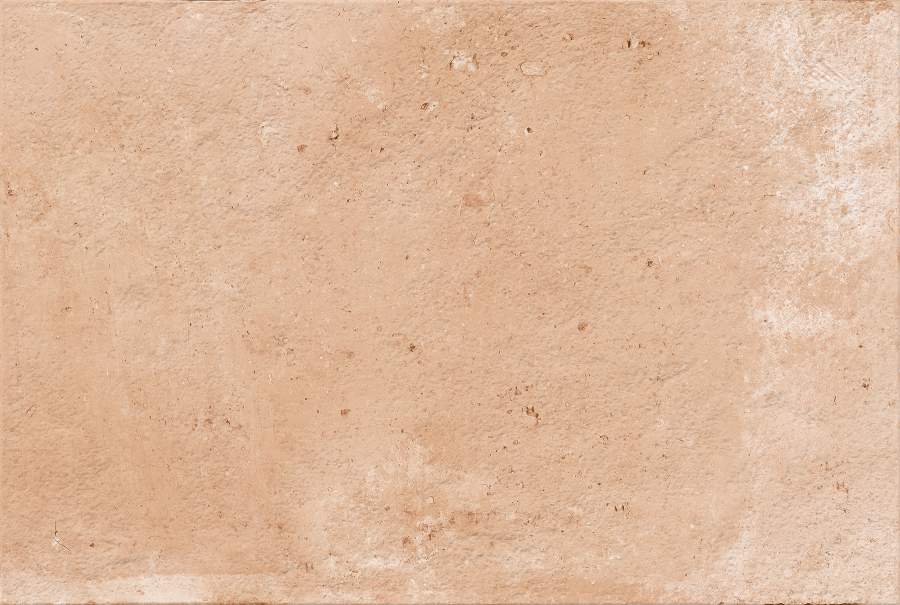 PEACH - 460-2