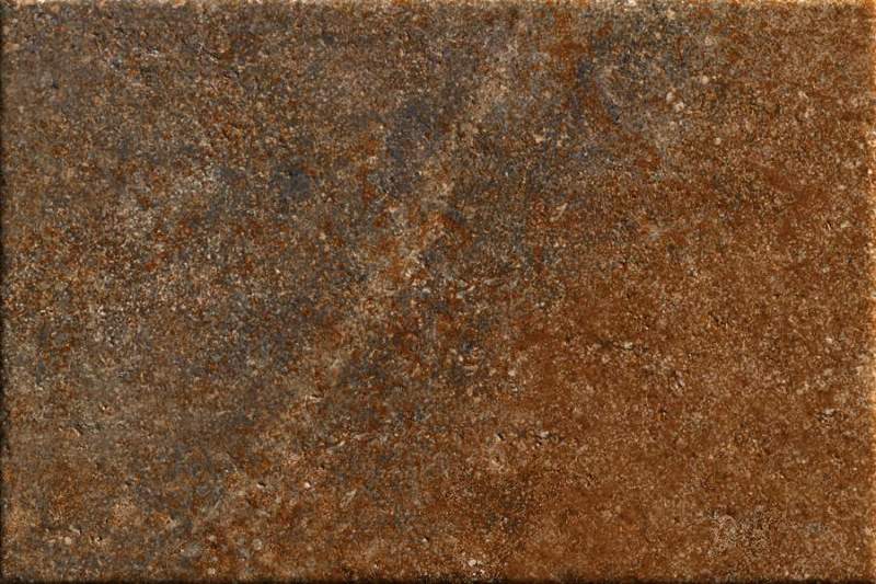 FRENCH RED BLOOM - 460-5