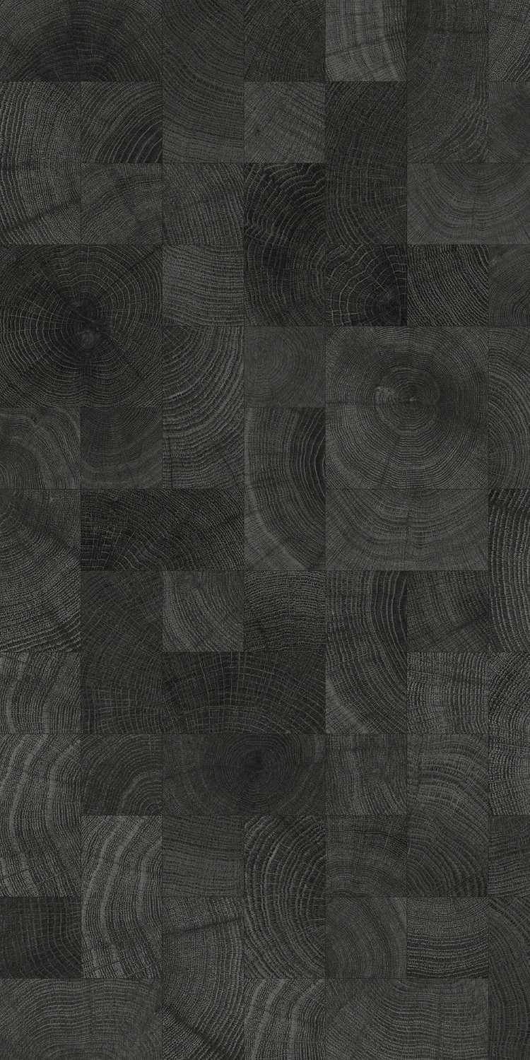 DA61206 CARBON