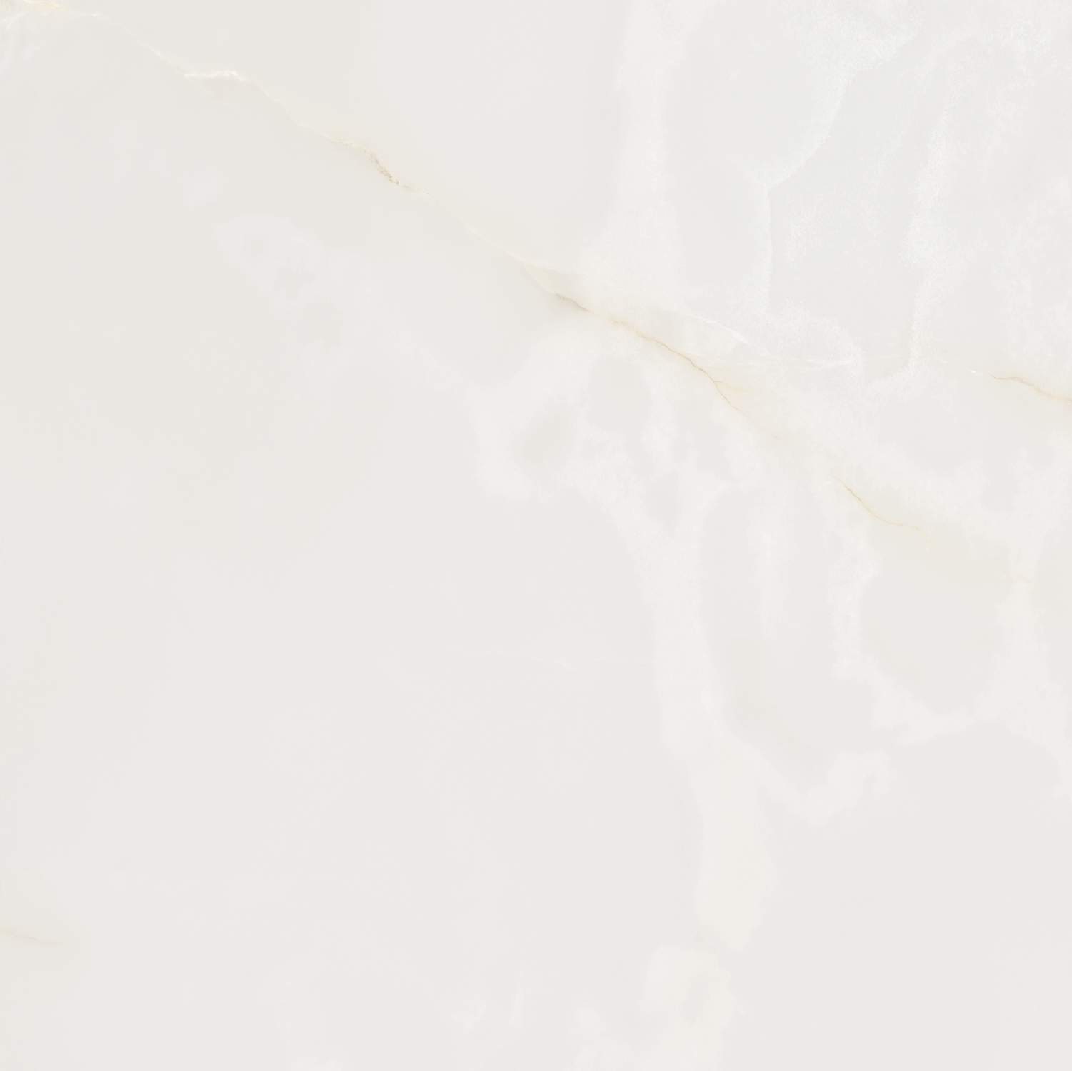 S10101404-2