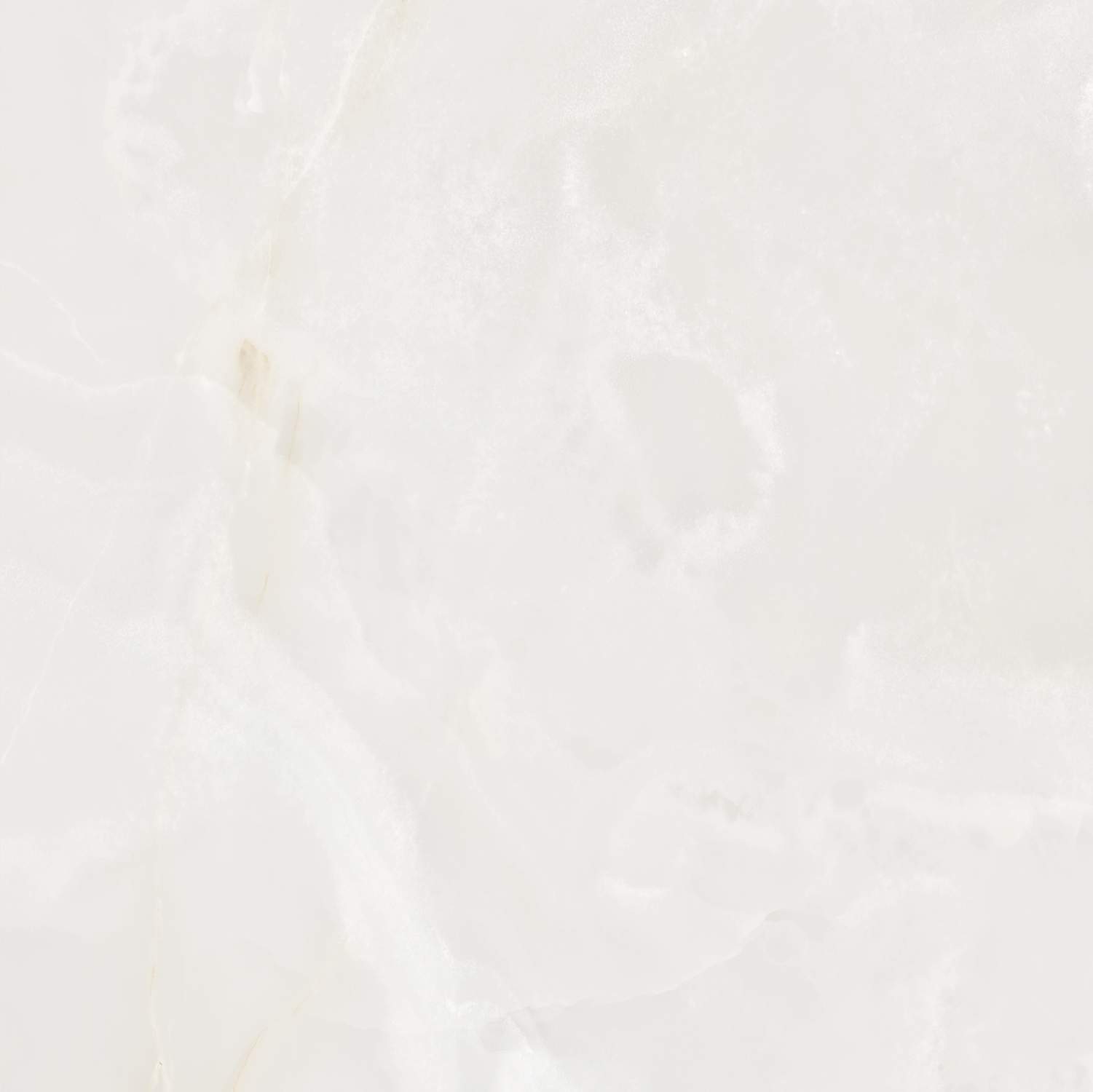 S10101404-6