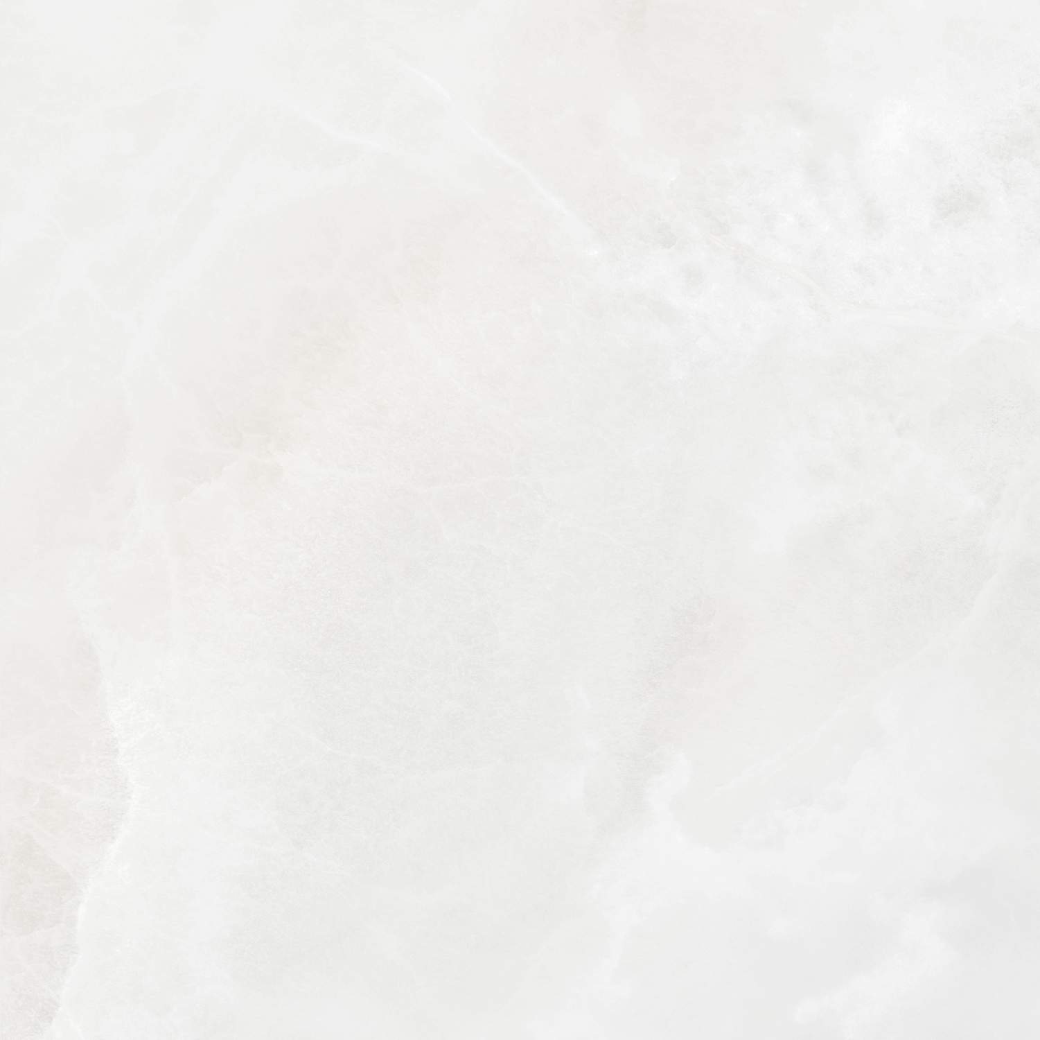 S10101402-6