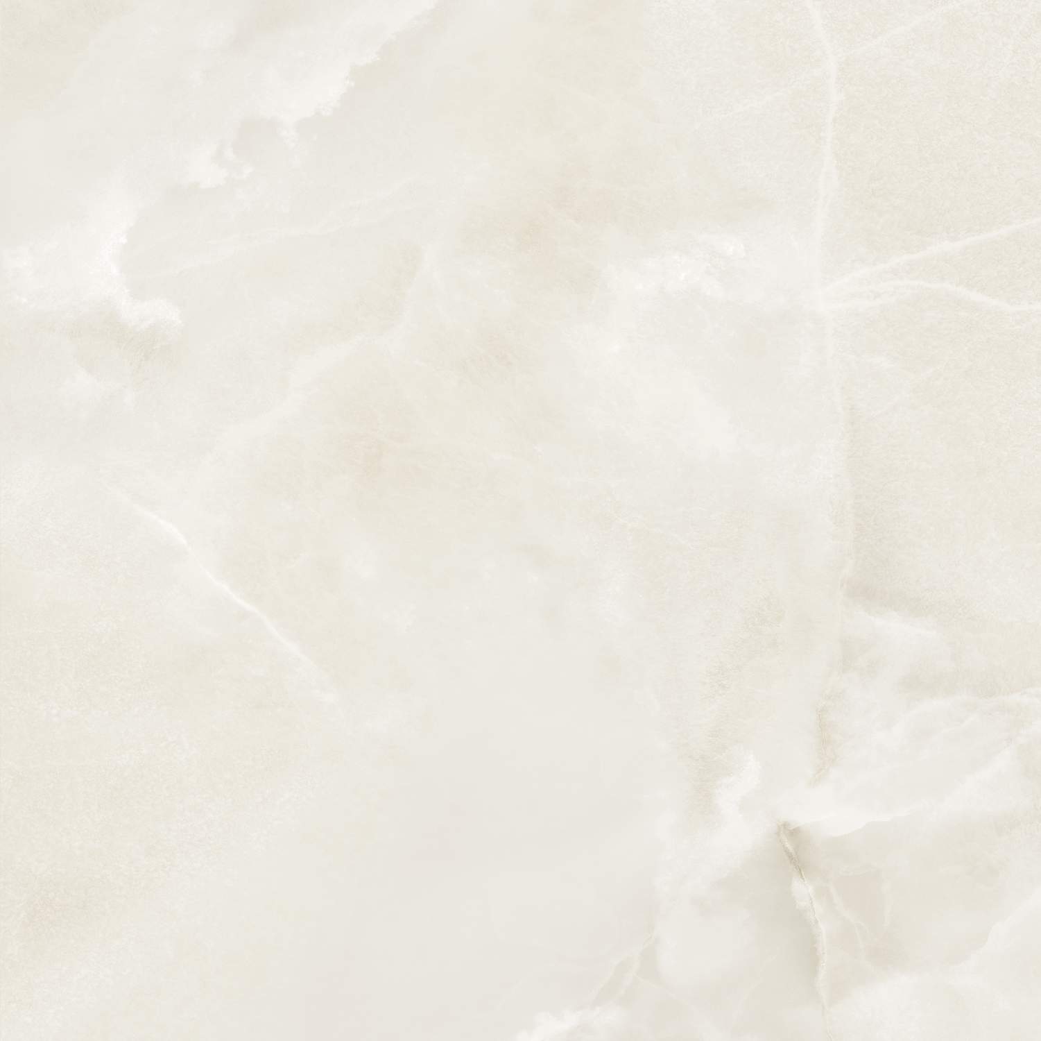 S10101403-5