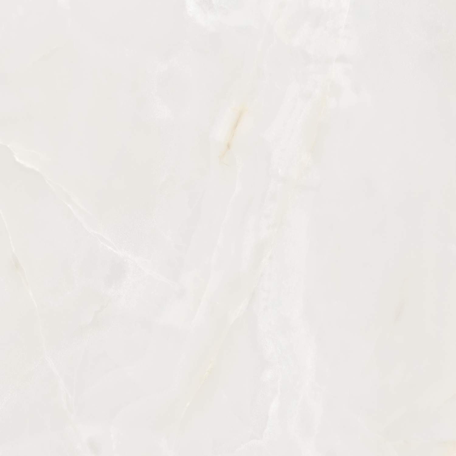 S10101404-5