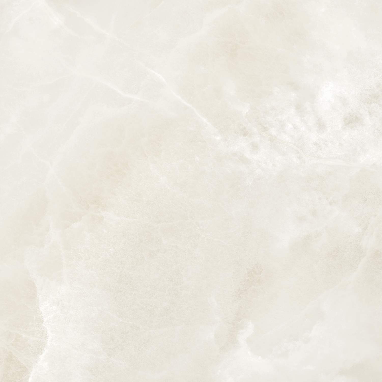 S10101403-6